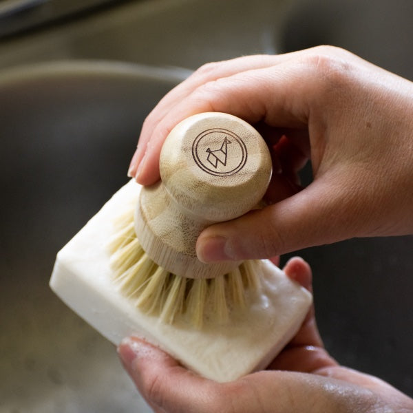 Travel Laundry & Soap Bundle — Eco-Friendly On-the-Go Kit